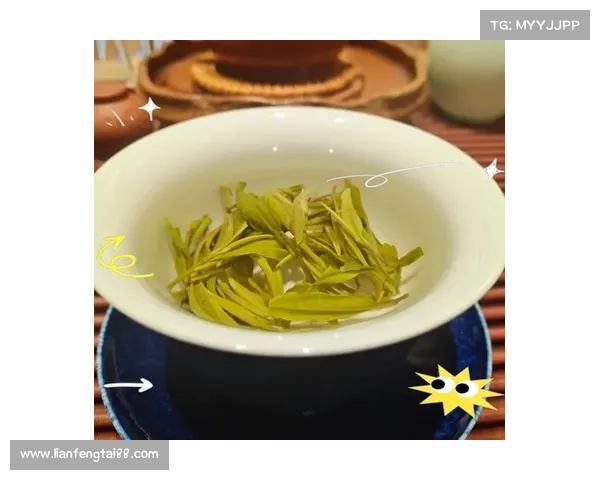 卷帘绿魔的独特观赏魅力与日常养护技巧全面解析 卷帘绿魔的独特观赏魅力与日常养护技巧全面解析
