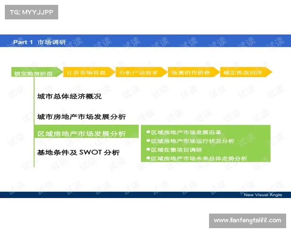 全面解析天之劫从基础入门到高阶实战技巧深度掌握全方位攻略 全面解析天之劫从基础入门到高阶实战技巧深度掌握全方位攻略